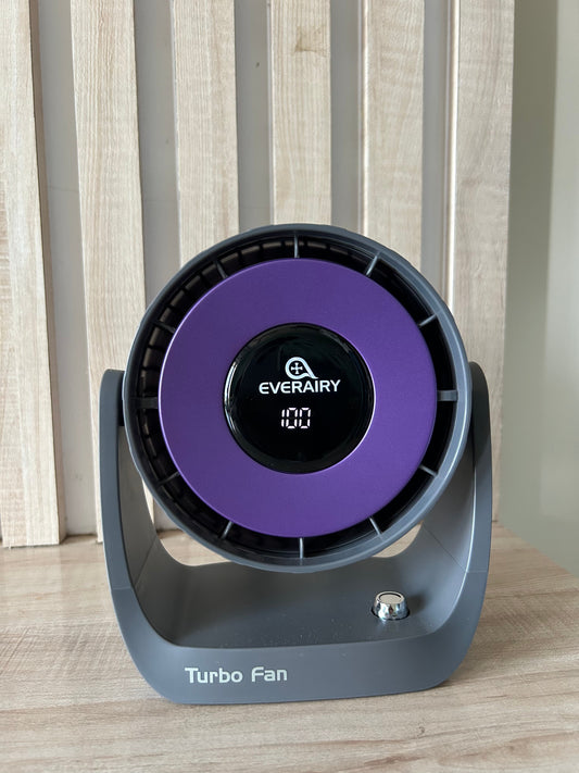 Turbo fan